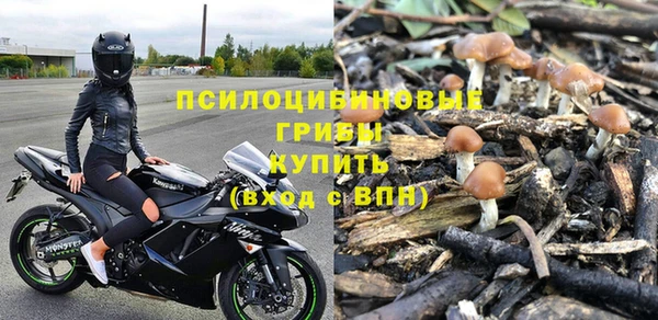 скорость Алзамай