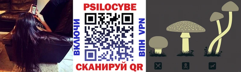 Псилоцибиновые грибы Psilocybe  Железногорск 